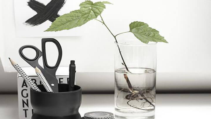 Giữ 3 bỏ 2 thứ này trên bàn làm việc để sự nghiệp hanh thông ảnh 1