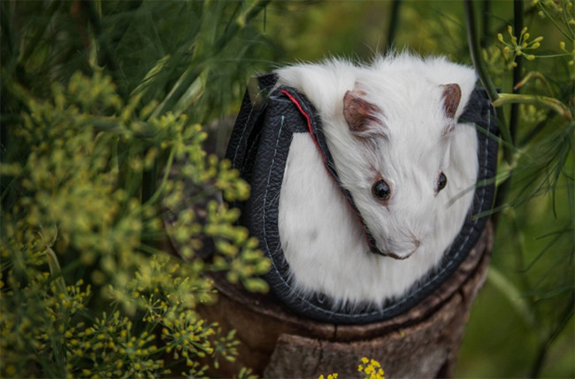 Bộ sưu tập túi lông kinh dị ảnh 4