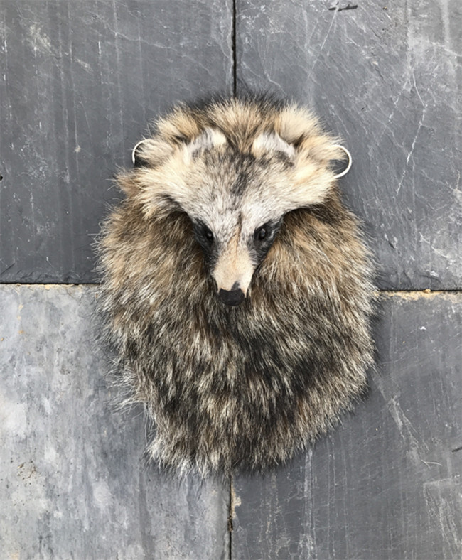 Bộ sưu tập túi lông kinh dị ảnh 5