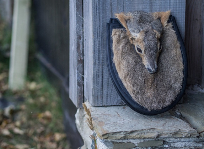 Bộ sưu tập túi lông kinh dị ảnh 6