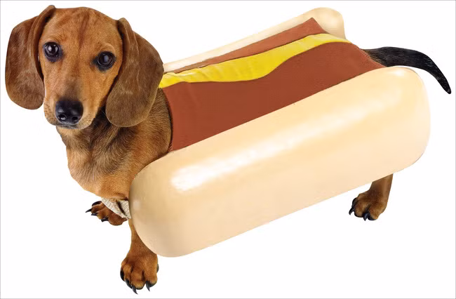 Đây là lý do bánh mì kẹp xúc xích lại có cái tên kỳ lạ: hot dog - Ảnh 3.