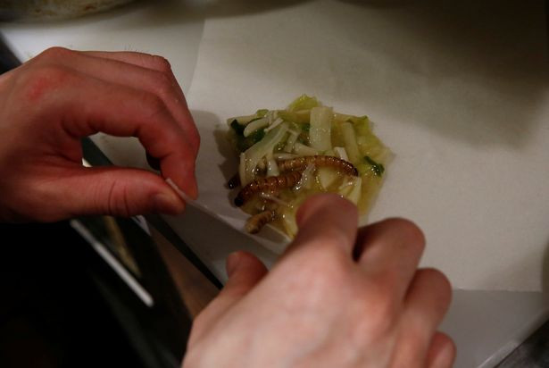 Xếp hàng để được ăn mỳ trộn… côn trùng ảnh 5 Xếp hàng để được ăn mỳ trộn… côn trùng ảnh 5