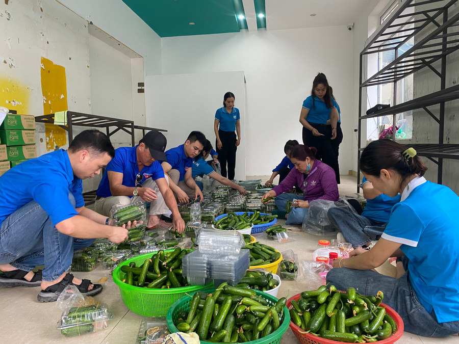 Đóng gói dưa Babi tặng cho lực lượng nữ tham gia diễu binh, diễu hành.