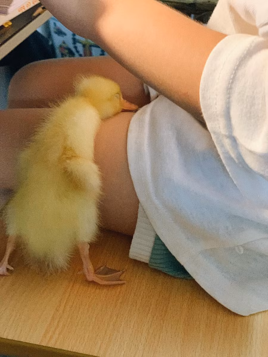 Giấc ngủ nào ngon bằng giấc ngủ này?