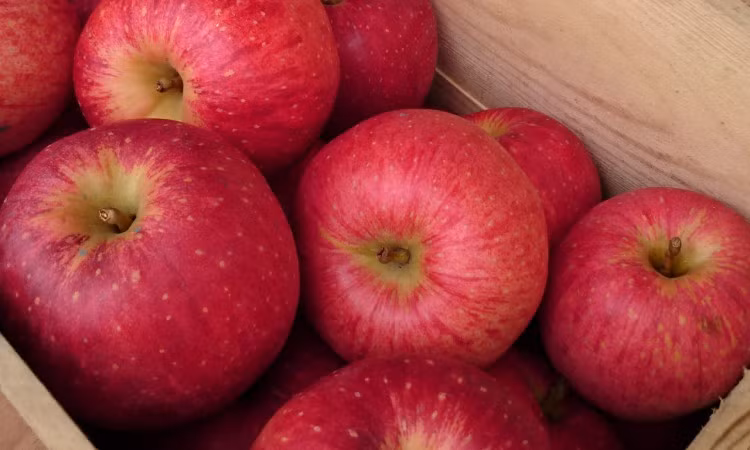 4 loại trái cây cha mẹ nên cho trẻ ăn thường xuyên, vừa giúp tăng khả năng miễn dịch vừa tốt cho mắt - Ảnh 4.