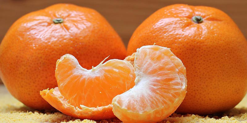 4 loại trái cây cha mẹ nên cho trẻ ăn thường xuyên, vừa giúp tăng khả năng miễn dịch vừa tốt cho mắt - Ảnh 2. 4 loại trái cây cha mẹ nên cho trẻ ăn thường xuyên, vừa giúp tăng khả năng miễn dịch vừa tốt cho mắt - Ảnh 2.