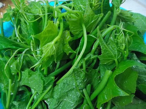 Cách làm ngọn su su xào tỏi cực ngon, giòn xanh mướt mắt ảnh 3 su-su-blogtamsuvn3