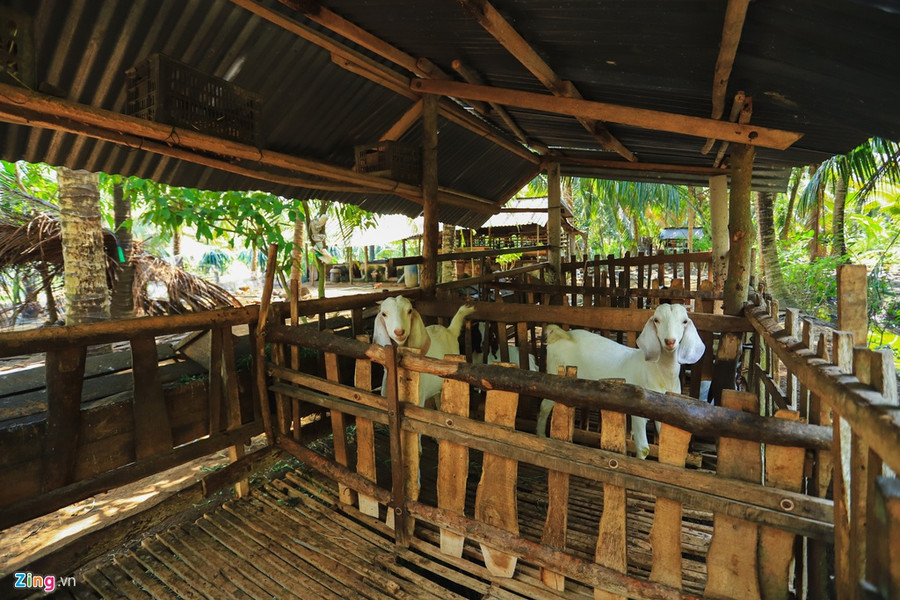 Cận cảnh căn nhà đơn sơ của gia đình Jack tại Bến Tre ảnh 6 Jack, Nhà sao việt, Nhà của Jack