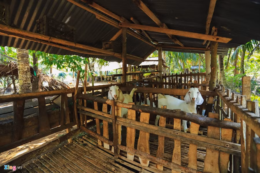 Jack, Nhà sao việt, Nhà của Jack