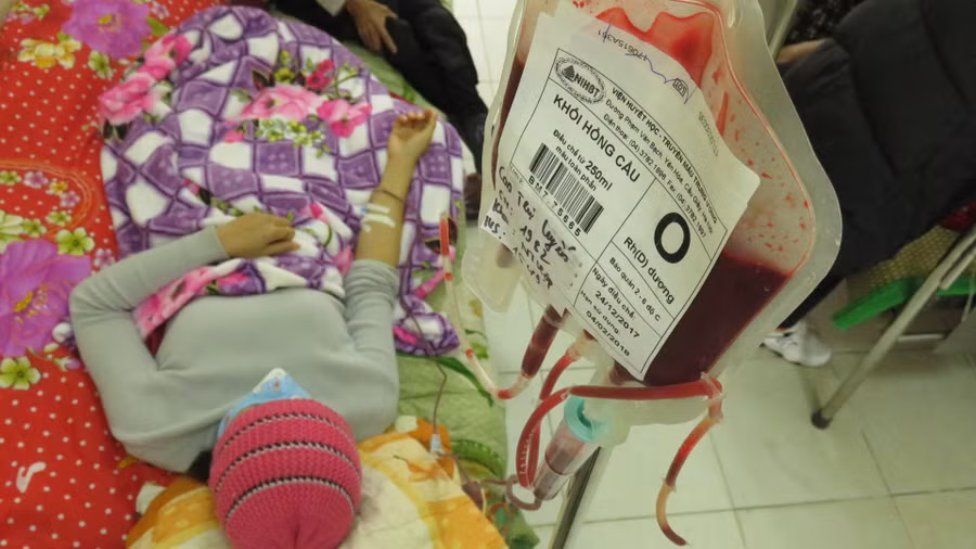 Người bệnh nhóm máu O đang mòn mỏi chờ nguồn máu để điều trị