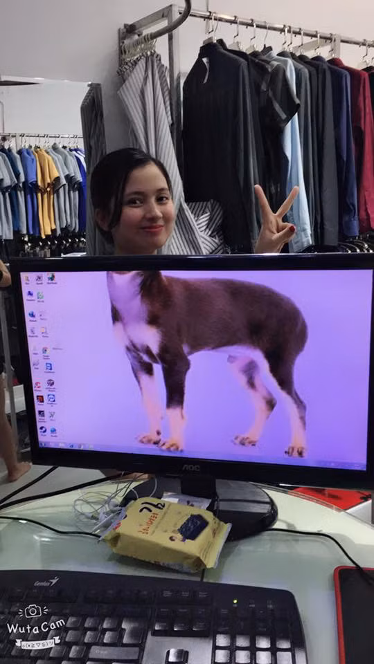 39748471_2040478659615698_2827097858212102144_n