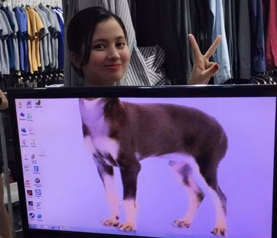 Chồng có tâm chụp ảnh “báo thù” vợ và sản phẩm khiến dân mạng cười không biết mệt