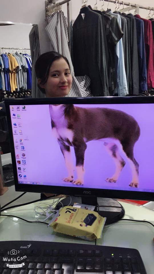 39813741_2040478696282361_2765217850607009792_n