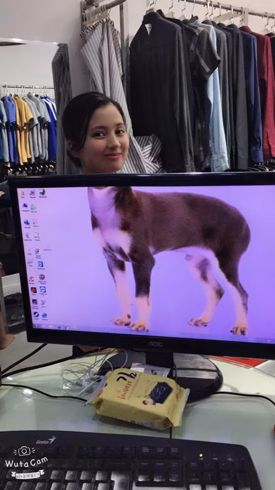 39813741_2040478696282361_2765217850607009792_n