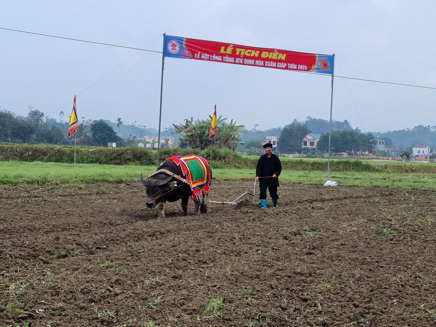 Lễ tịch điền, nghi lễ quan trọng trong Lễ hội Lồng Tồng, để cầu mùa màng bội thu.