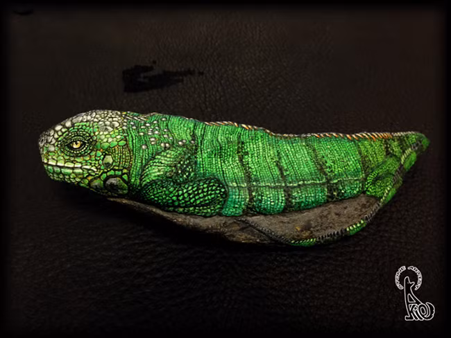 Những viên đá vô tri vô giác cũng có thể “biến thành” con vật đáng yêu như thế này đây 