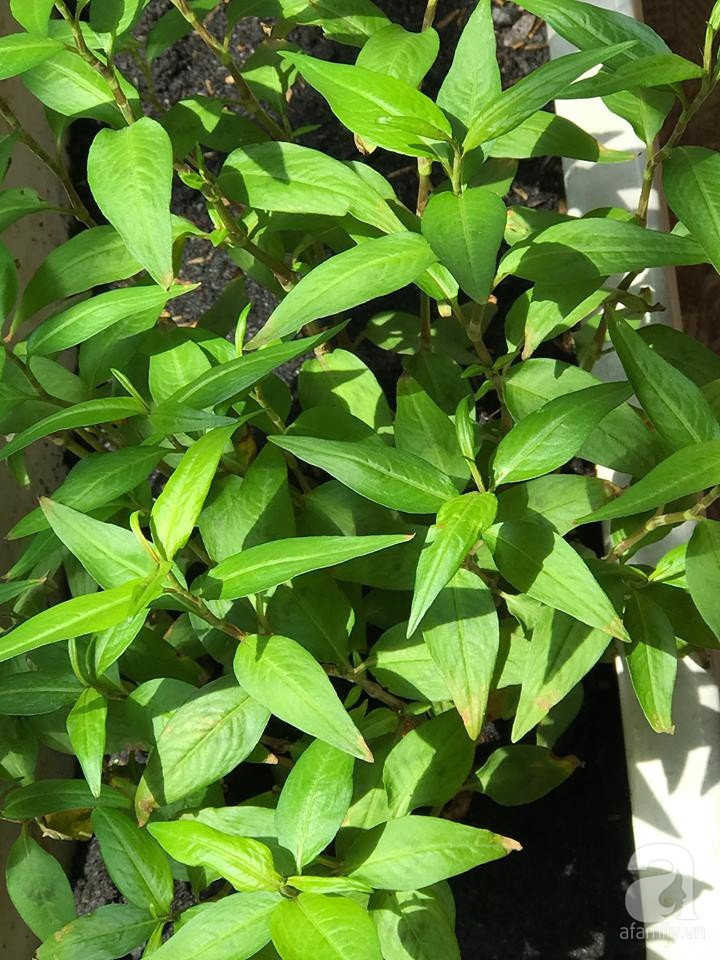 29020219_1047971952007445_2021687047_n 29020219_1047971952007445_2021687047_n