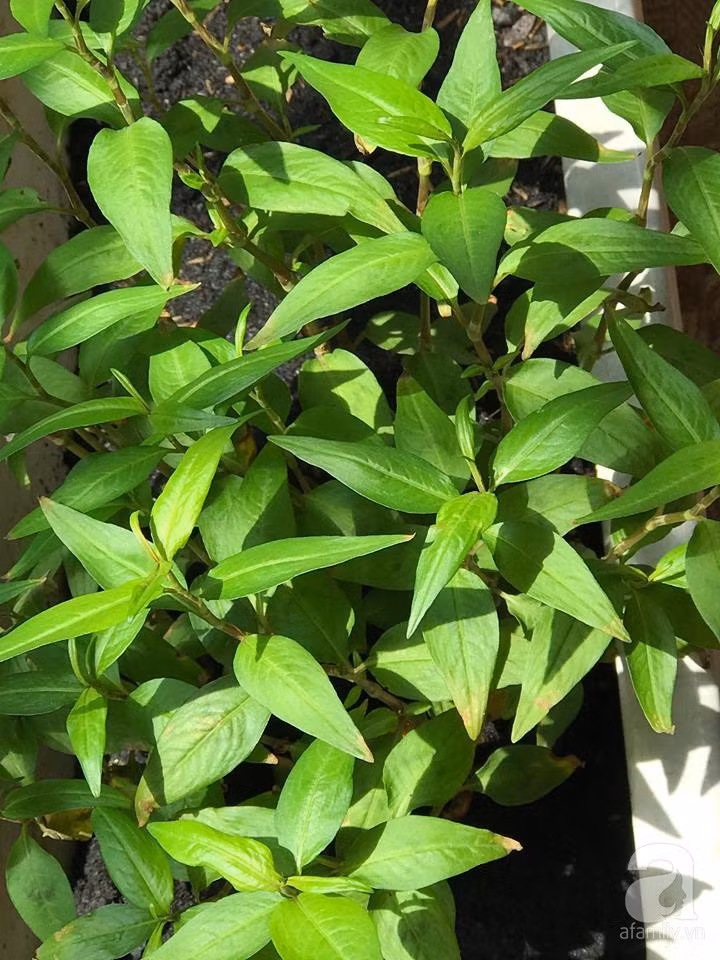 29020219_1047971952007445_2021687047_n