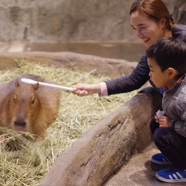 Bỏ việc ngân hàng để làm mẹ toàn thời gian, mẹ 30 tuổi tiết lộ thời khóa biểu gây sốc: Nội trợ là nghề vất vả nhất thế gian - Ảnh 3.