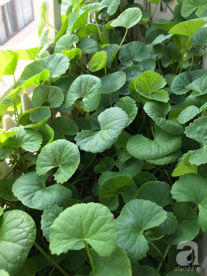 29134509_1047959942008646_1224291067_n 29134509_1047959942008646_1224291067_n