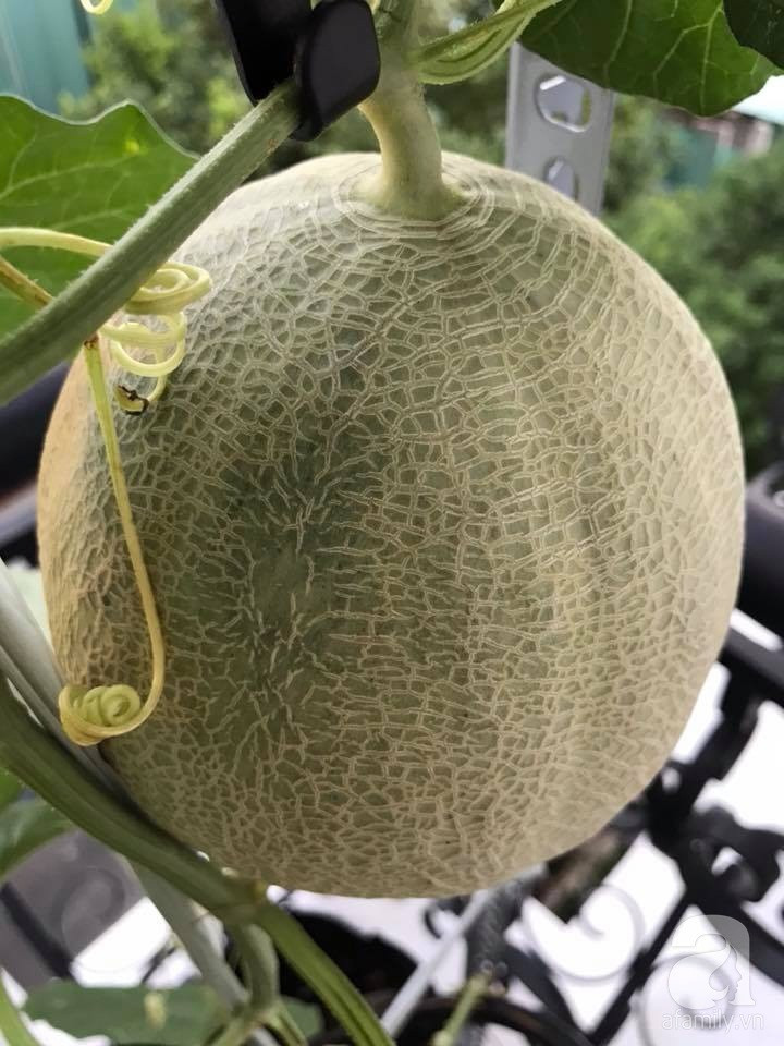 31957053_1072853666185940_2442638550814949376_n 31957053_1072853666185940_2442638550814949376_n