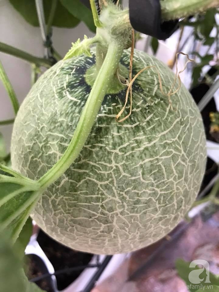 31956575_1072853776185929_770732323648831488_n 31956575_1072853776185929_770732323648831488_n