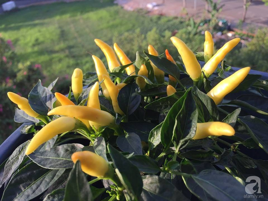 29138601_1047960265341947_1240694847_n 29138601_1047960265341947_1240694847_n