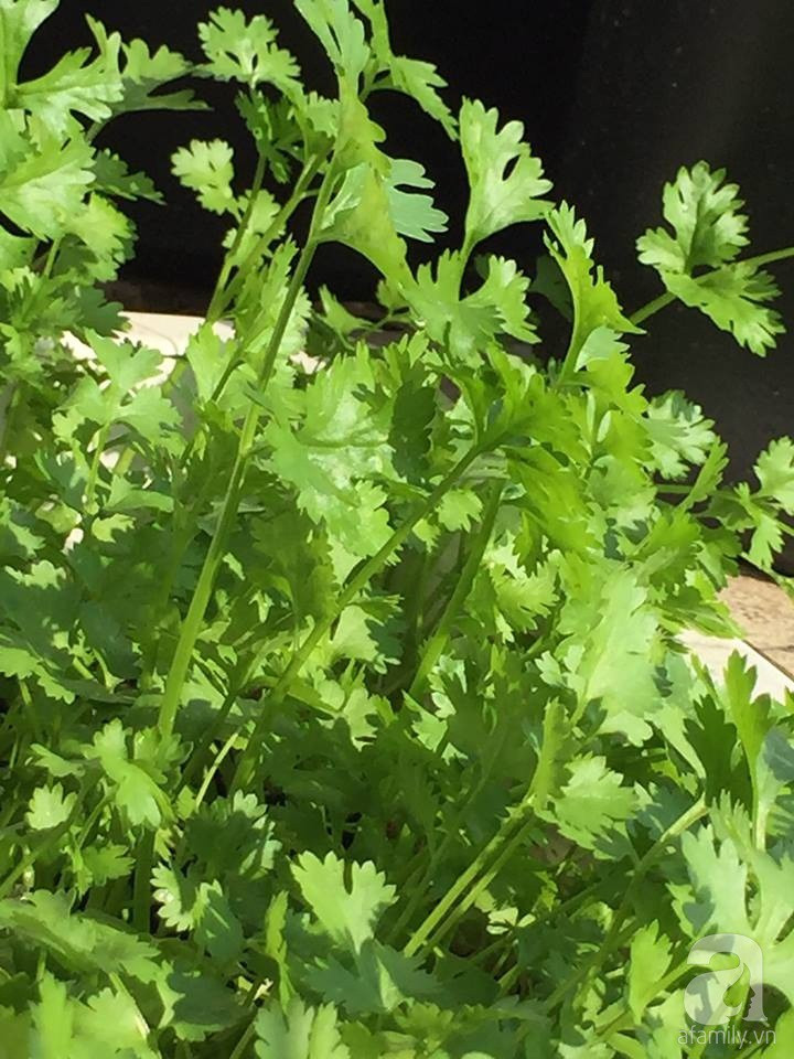 29003785_1047960402008600_1695579834_n 29003785_1047960402008600_1695579834_n