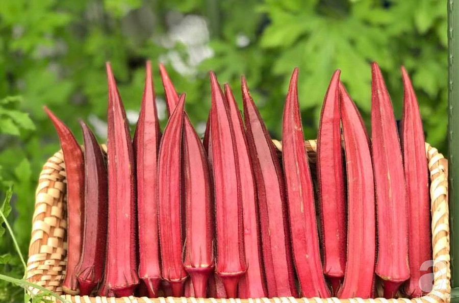 46762614_1230072843797354_581984784620716032_n 46762614_1230072843797354_581984784620716032_n