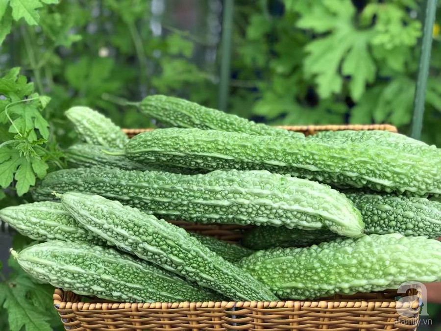 49900516_1262977447173560_6919953403535687680_n 49900516_1262977447173560_6919953403535687680_n