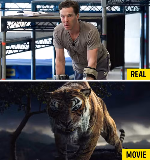 Con hổ trong Huyền thoại rừng xanh thực tế là một người vào vai.