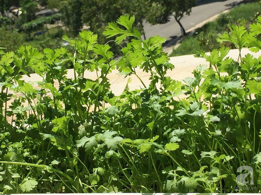 29340976_1047960342008606_1526729786_n 29340976_1047960342008606_1526729786_n