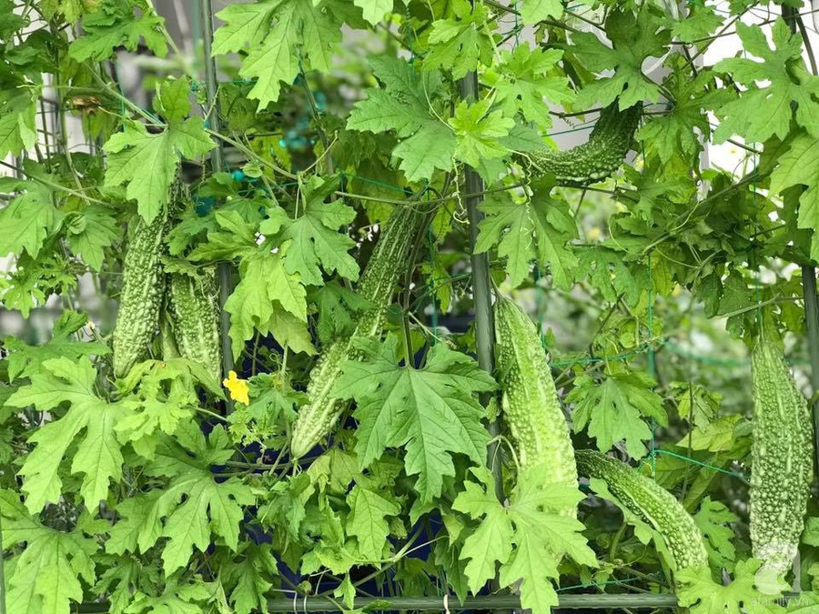 47476585_1240463416091630_5230562291493109760_n 47476585_1240463416091630_5230562291493109760_n