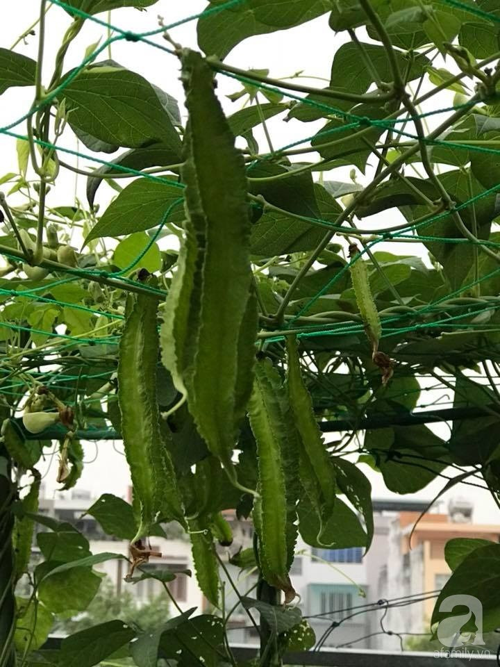 26907187_1015269461944361_6233238227695864708_n 26907187_1015269461944361_6233238227695864708_n