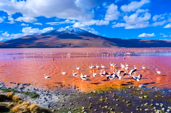 10-ky-quan-sac-mau-huyen-bi-hoan-toan-co-that-1