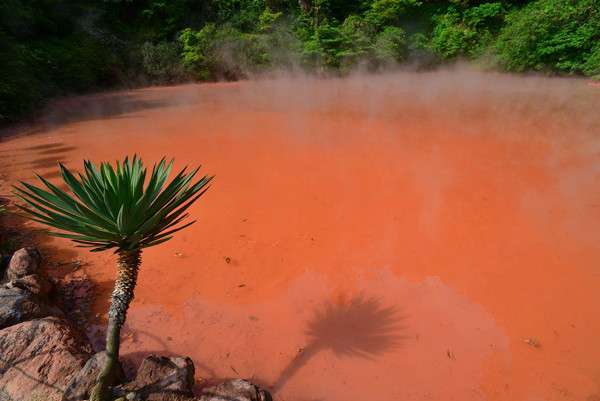 10-ky-quan-sac-mau-huyen-bi-hoan-toan-co-that-8