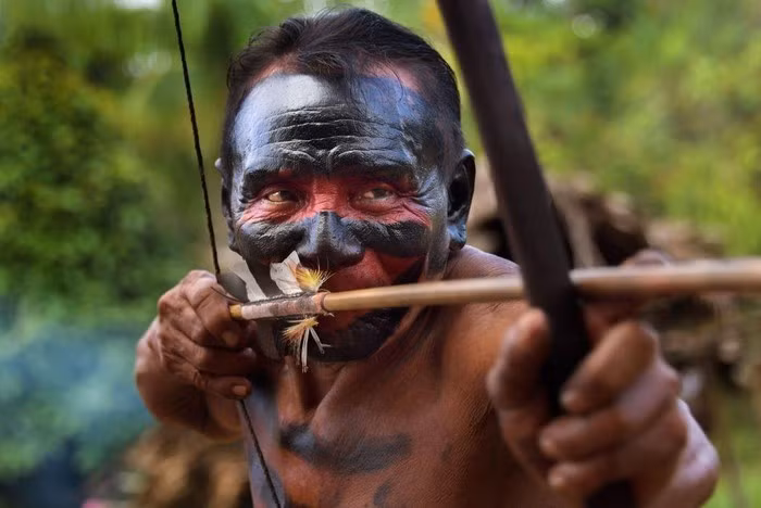 Rừng Amazon hùng vĩ trước trận cháy kỷ lục ảnh 14