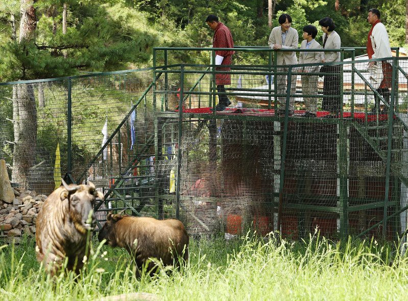 Hoàng tử nhỏ Nhật Bản gây sốt cộng đồng mạng với hình ảnh quá đáng yêu ở Bhutan ảnh 11 Hoàng tử nhỏ Nhật Bản gây sốt cộng đồng mạng với hình ảnh quá đáng yêu ở Bhutan ảnh 11