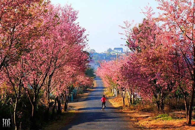 Đà Lạt vào tháng 9 đẹp như tranh.