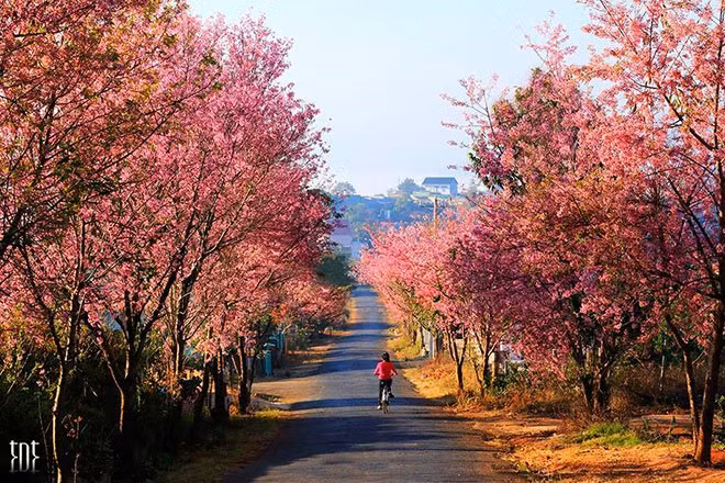 Đà Lạt vào tháng 9 đẹp như tranh.