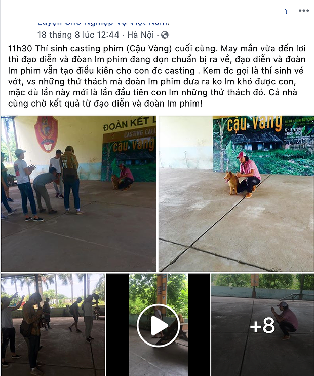 Chú chó Nhật Shiba đóng cậu Vàng trong Lão Hạc gây tranh cãi - ảnh 3