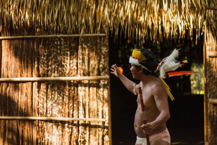 Rừng Amazon hùng vĩ trước trận cháy kỷ lục ảnh 11 Rừng Amazon hùng vĩ trước trận cháy kỷ lục ảnh 11