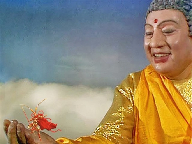 4 người Tôn Ngộ Không sợ nhất trong Tây Du Ký, gồm những ai? hình ảnh 2 4 nguoi ton ngo khong so nhat trong tay du ky, gom nhung ai? hinh anh 2