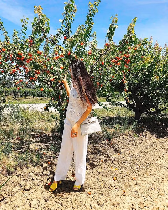 Ít ai ngờ Phạm Hương chỉ trung thành với 3 đôi cao gót này ảnh 6 tui hieu thi moi ngay 1 cai, nhung pham huong chi trung thanh voi 3 doi cao got nay thoi! - 8