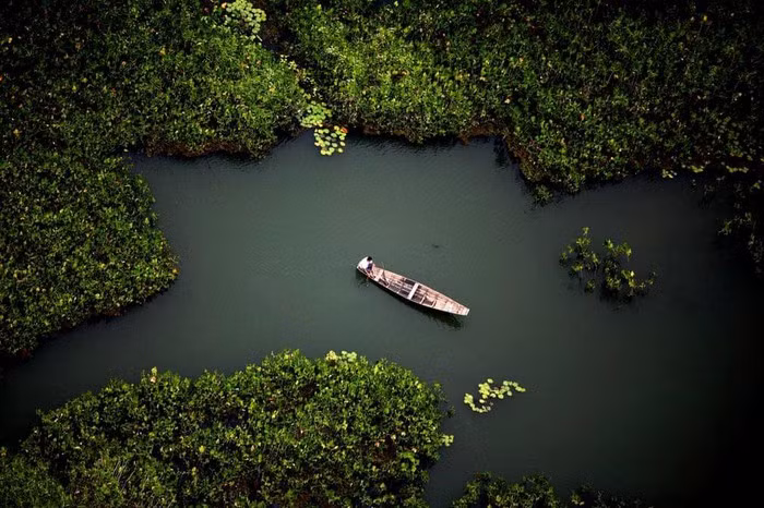 Rừng Amazon hùng vĩ trước trận cháy kỷ lục ảnh 7