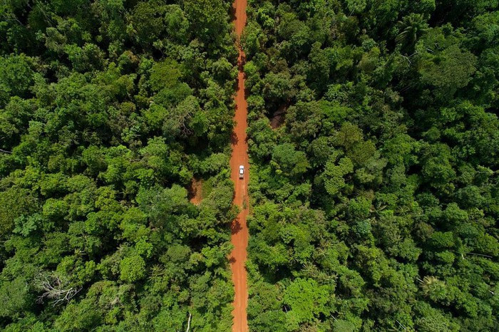 Rừng Amazon hùng vĩ trước trận cháy kỷ lục ảnh 1 Rừng Amazon hùng vĩ trước trận cháy kỷ lục ảnh 1