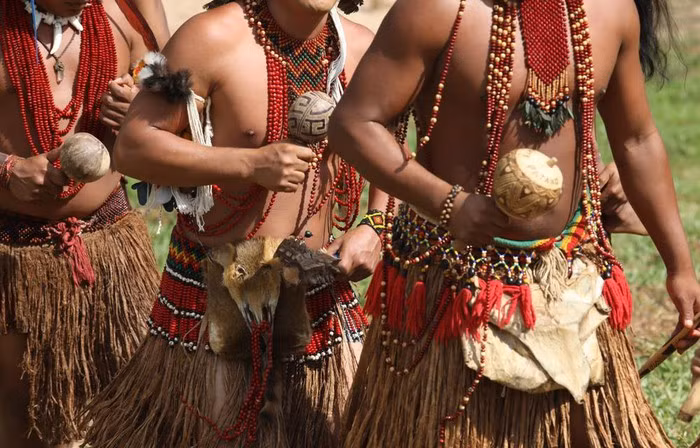 Rừng Amazon hùng vĩ trước trận cháy kỷ lục ảnh 12