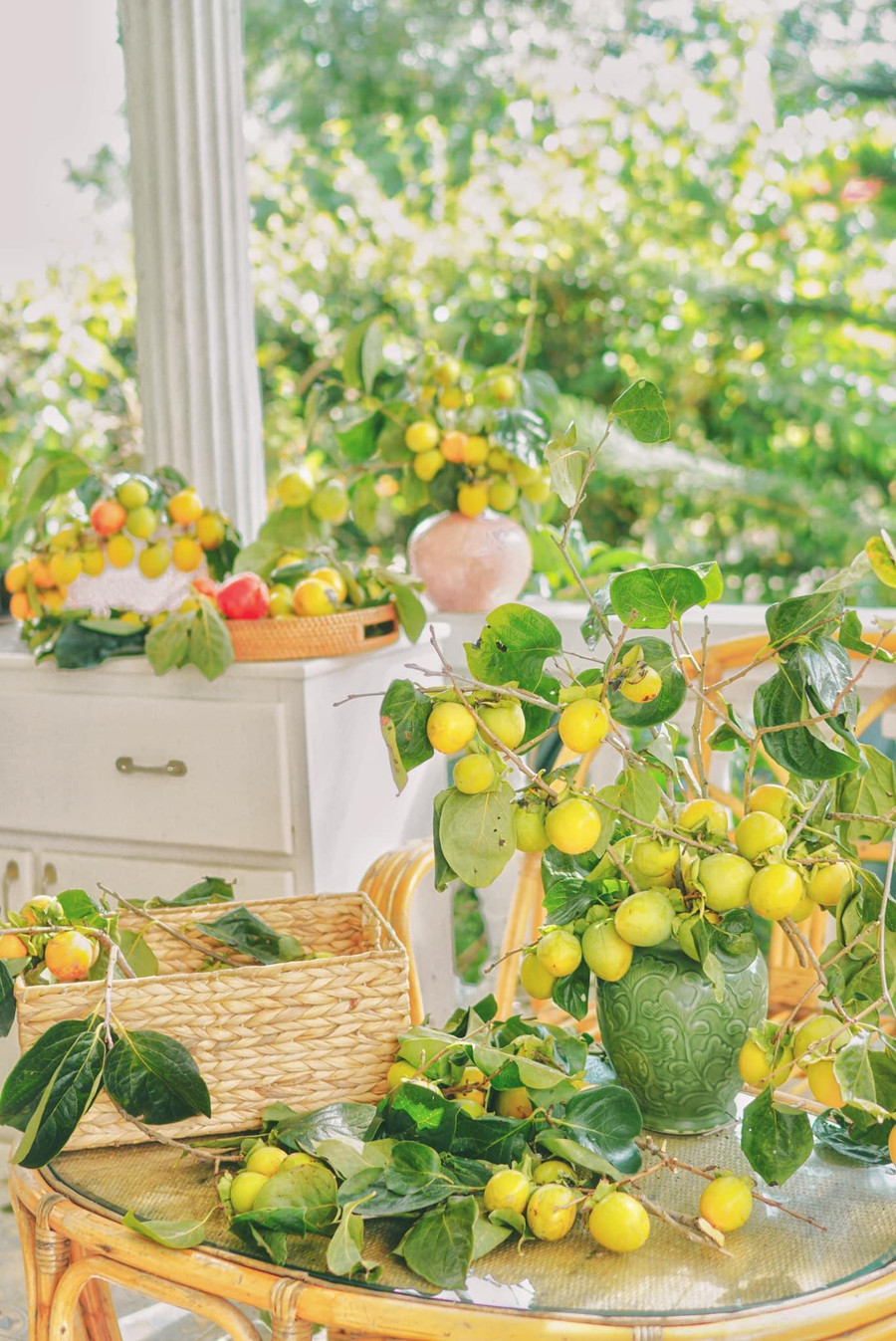 Bình quả hồng Đà Lạt đang là hot trend. Bình quả hồng Đà Lạt đang là hot trend.