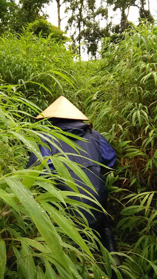 giáo viên vùng cao, tựu trường, khai giảng, giáo viên