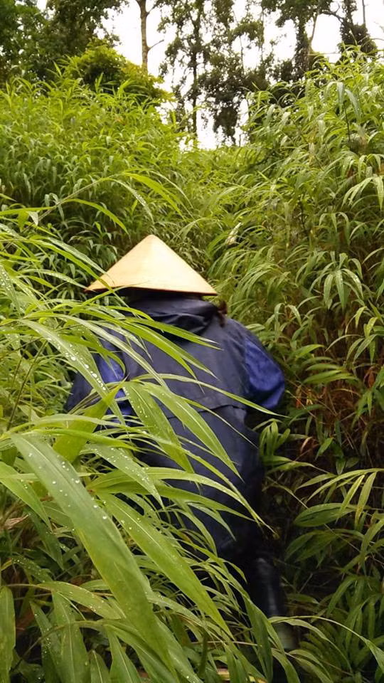 giáo viên vùng cao, tựu trường, khai giảng, giáo viên